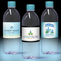 16.9 oz. Spring Water Full Color Label, Clear Bullet Bottle w/Berry Blue Cap